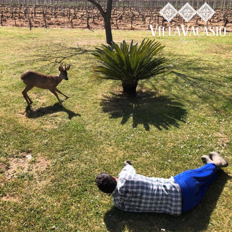 Agriturismo Eco-Bio Villa Vacasio Pitigliano Ngoại thất bức ảnh