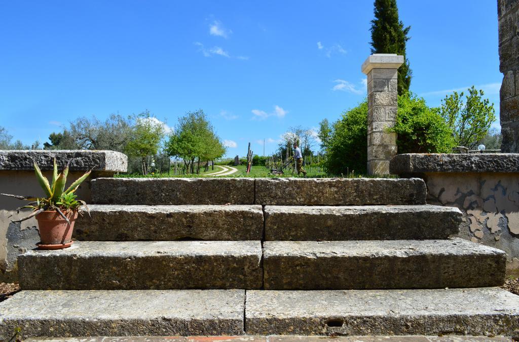 Agriturismo Eco-Bio Villa Vacasio Pitigliano Ngoại thất bức ảnh