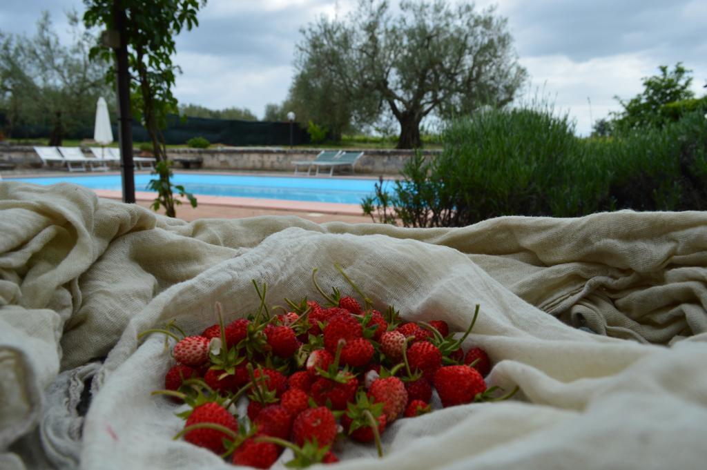 Agriturismo Eco-Bio Villa Vacasio Pitigliano Ngoại thất bức ảnh