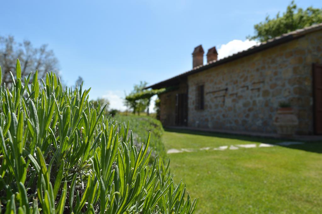 Agriturismo Eco-Bio Villa Vacasio Pitigliano Ngoại thất bức ảnh