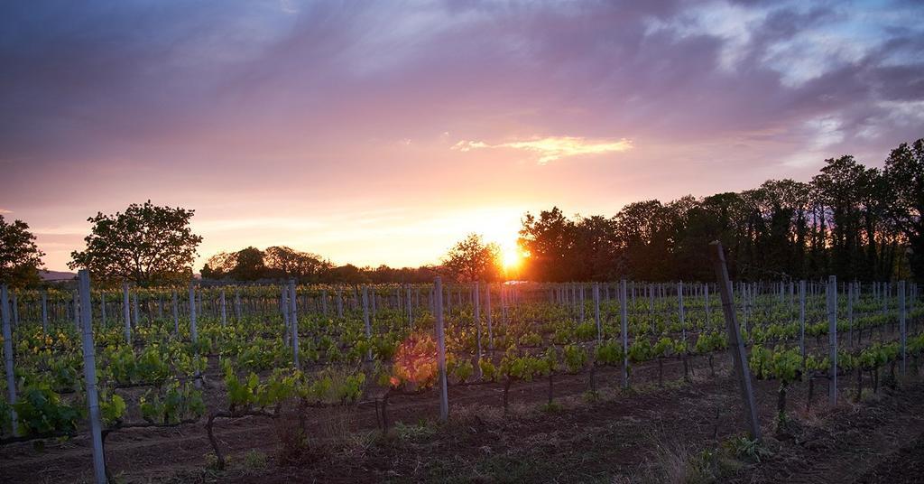 Agriturismo Eco-Bio Villa Vacasio Pitigliano Ngoại thất bức ảnh
